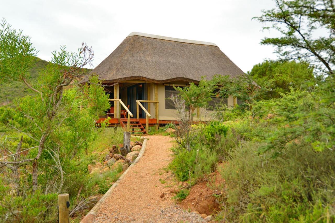 Garden Route Safari Camp Hotel Mossel Bay Exterior photo