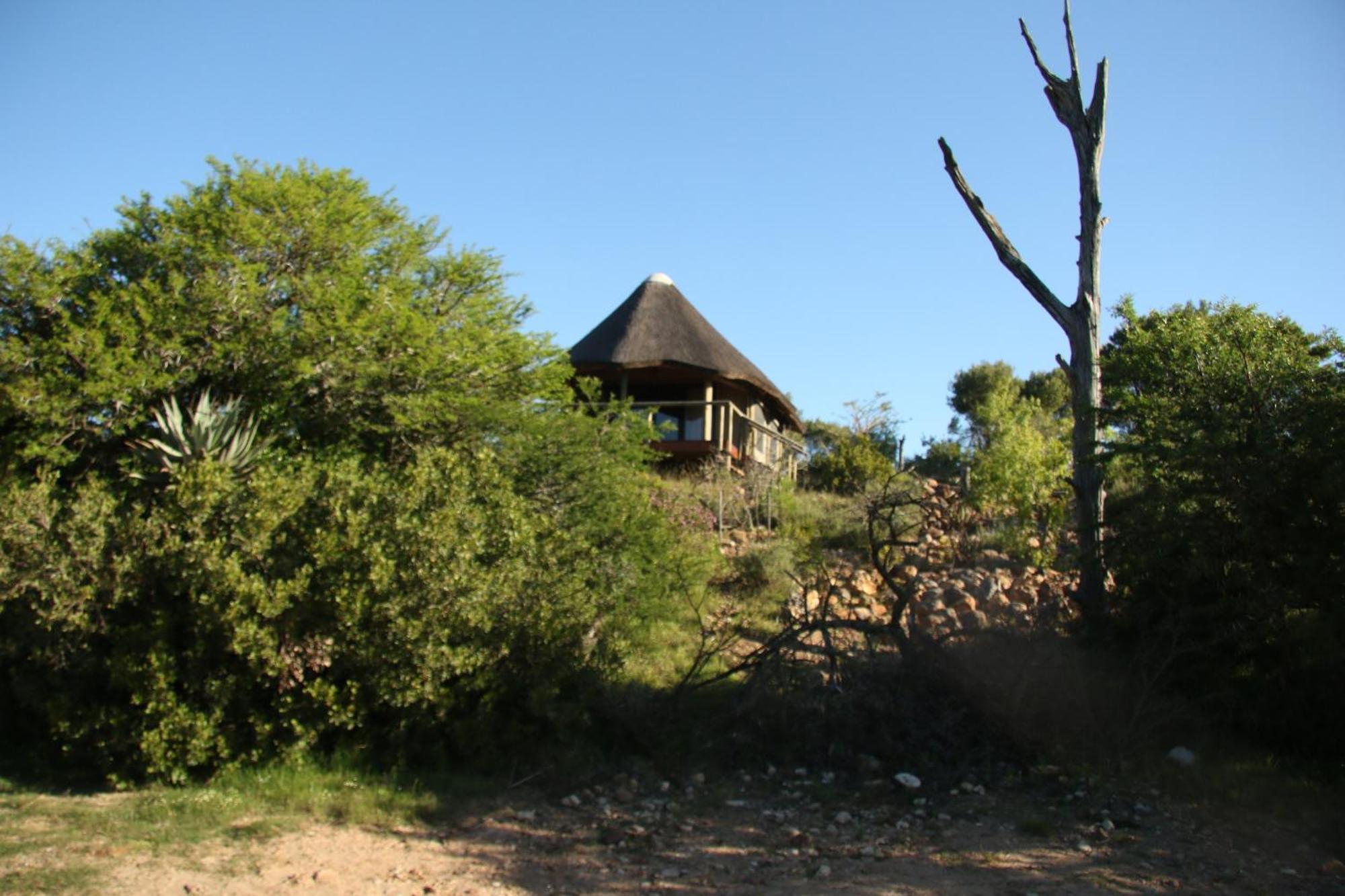 Garden Route Safari Camp Hotel Mossel Bay Exterior photo