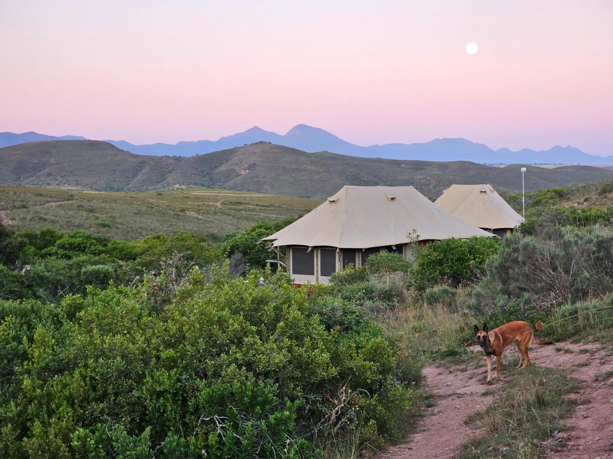 Garden Route Safari Camp Hotel Mossel Bay Exterior photo