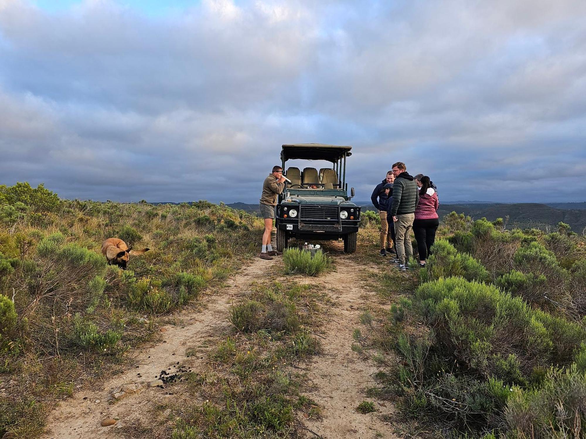 Garden Route Safari Camp Hotel Mossel Bay Exterior photo