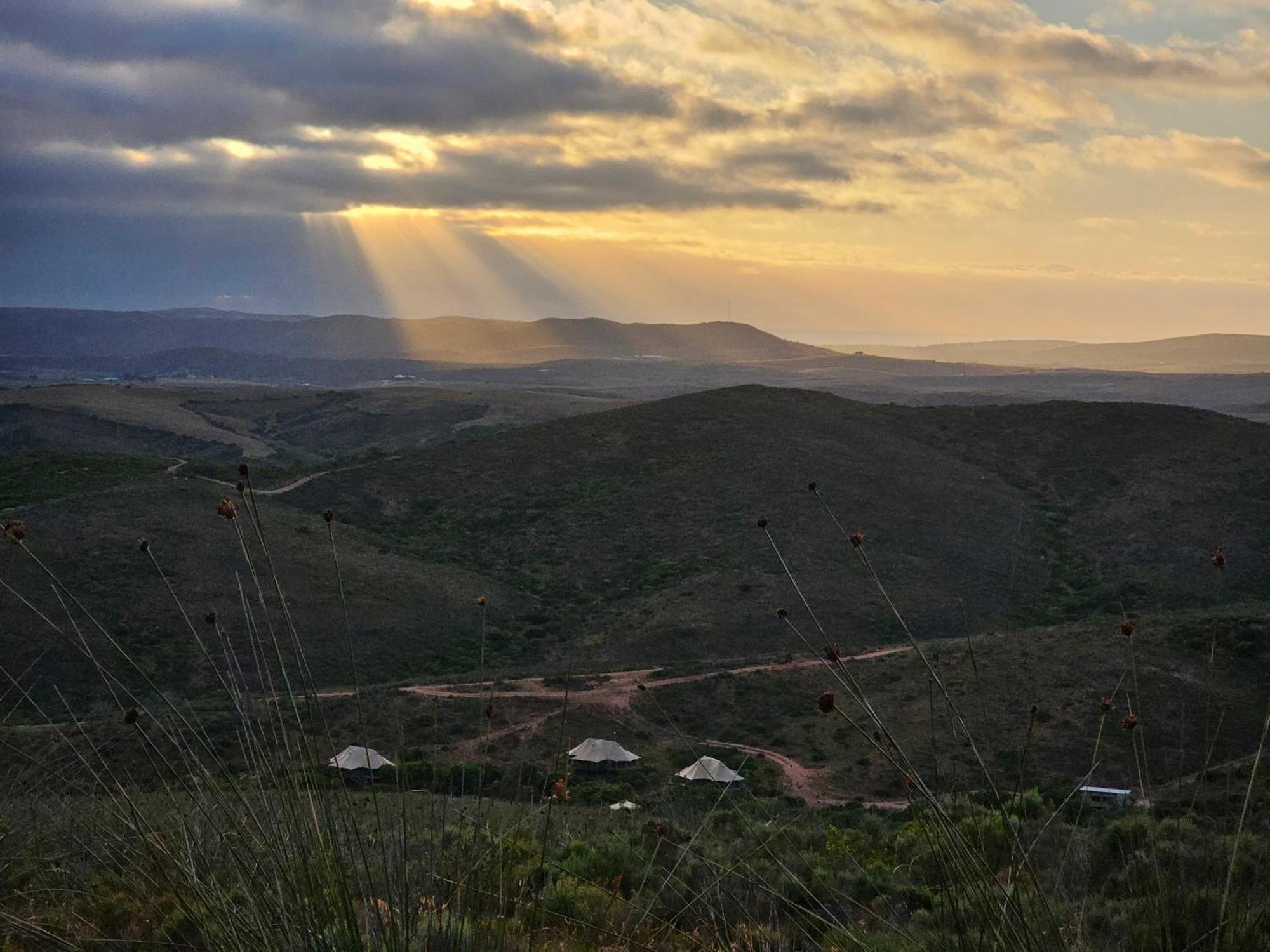 Garden Route Safari Camp Hotel Mossel Bay Exterior photo