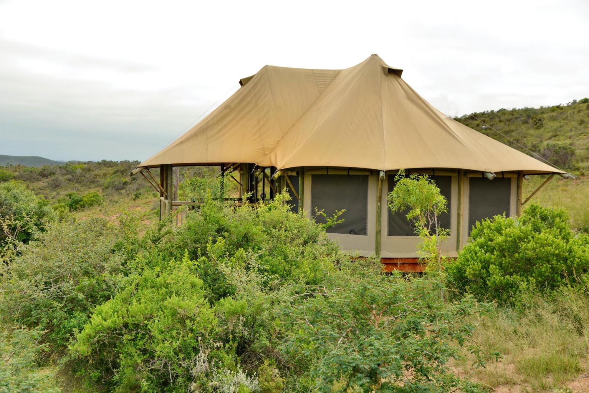 Garden Route Safari Camp Hotel Mossel Bay Exterior photo