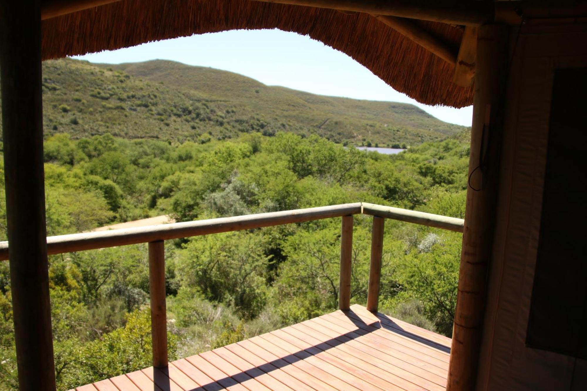 Garden Route Safari Camp Hotel Mossel Bay Exterior photo