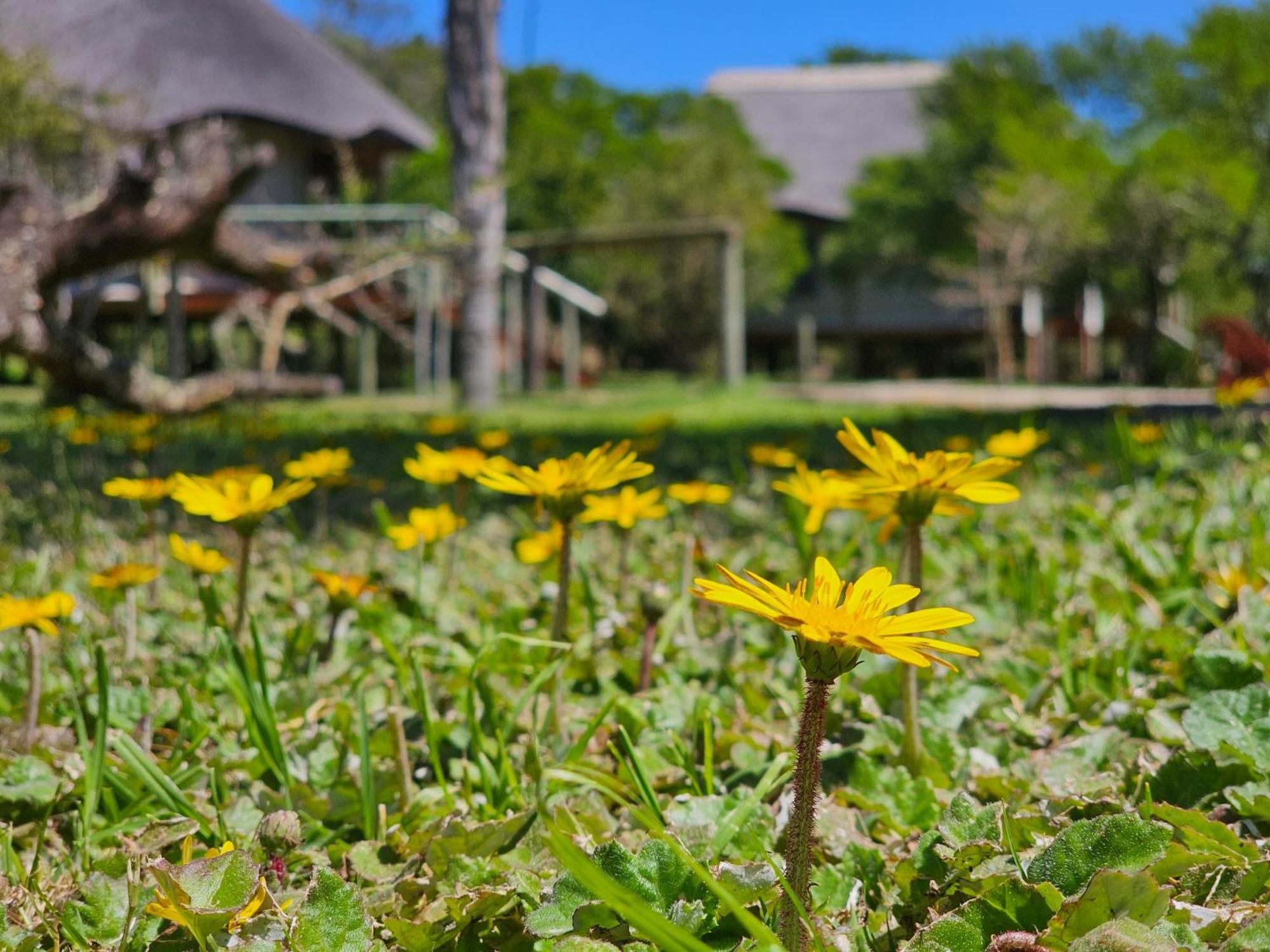 Garden Route Safari Camp Hotel Mossel Bay Exterior photo