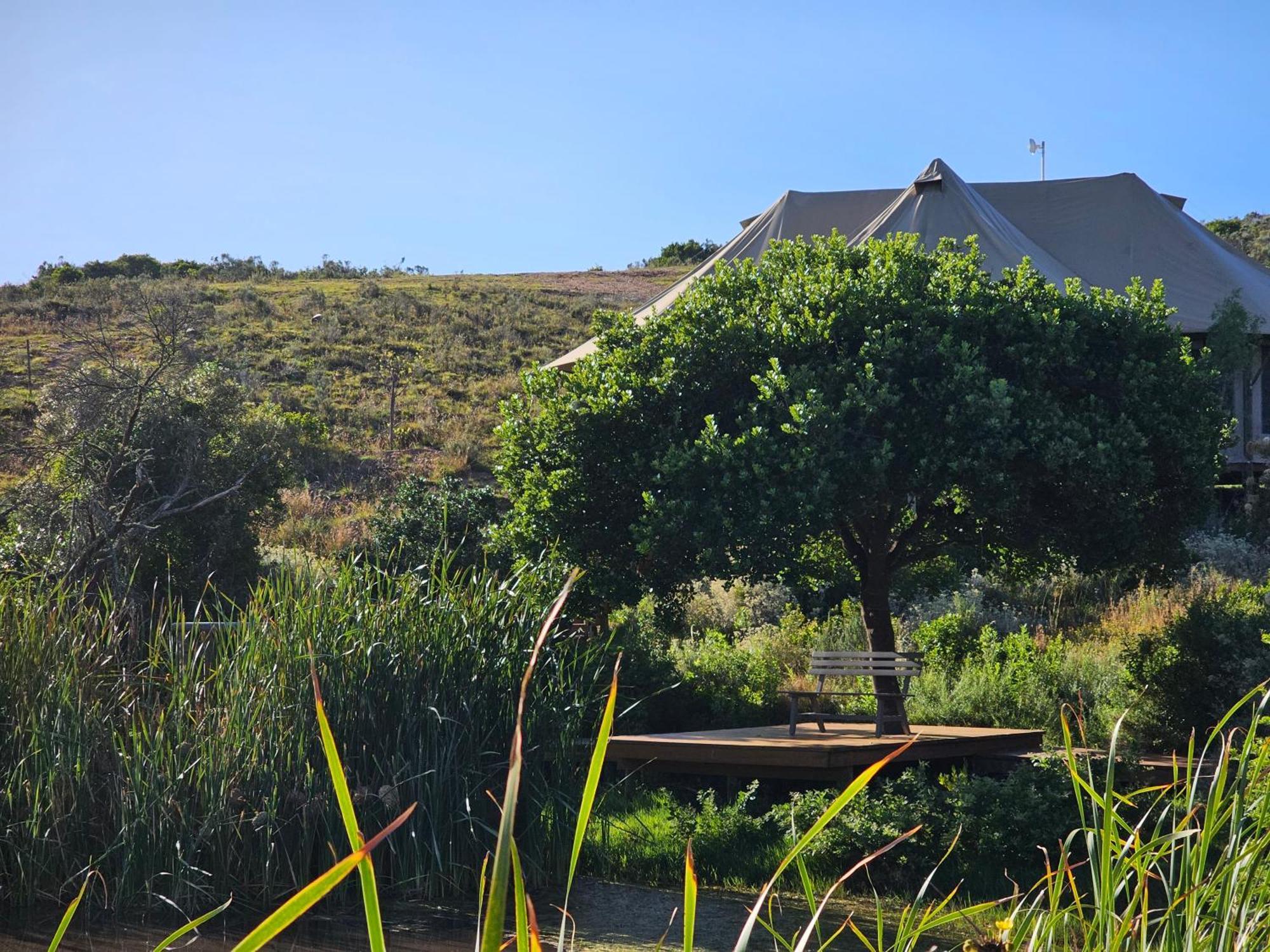 Garden Route Safari Camp Hotel Mossel Bay Exterior photo