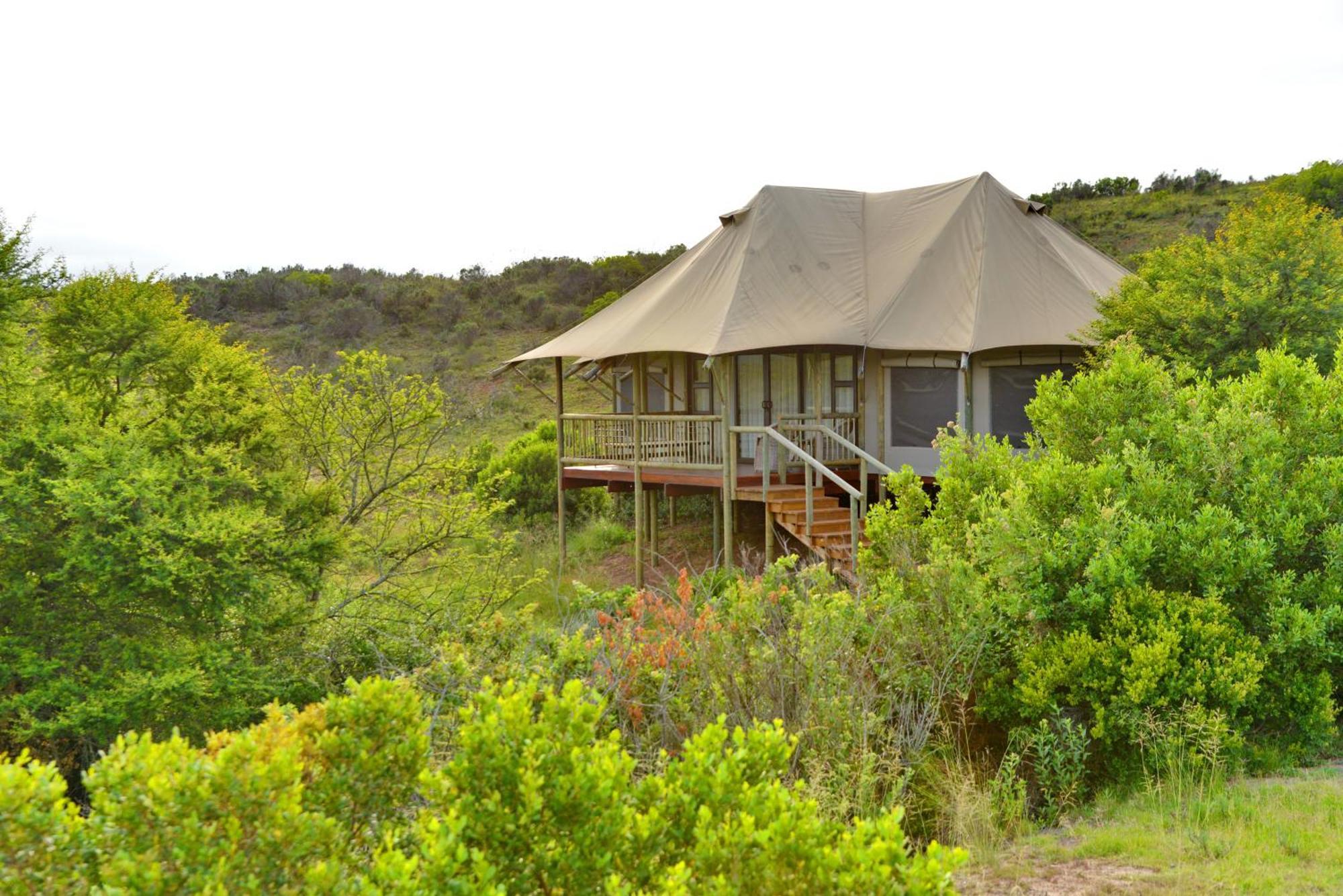 Garden Route Safari Camp Hotel Mossel Bay Exterior photo