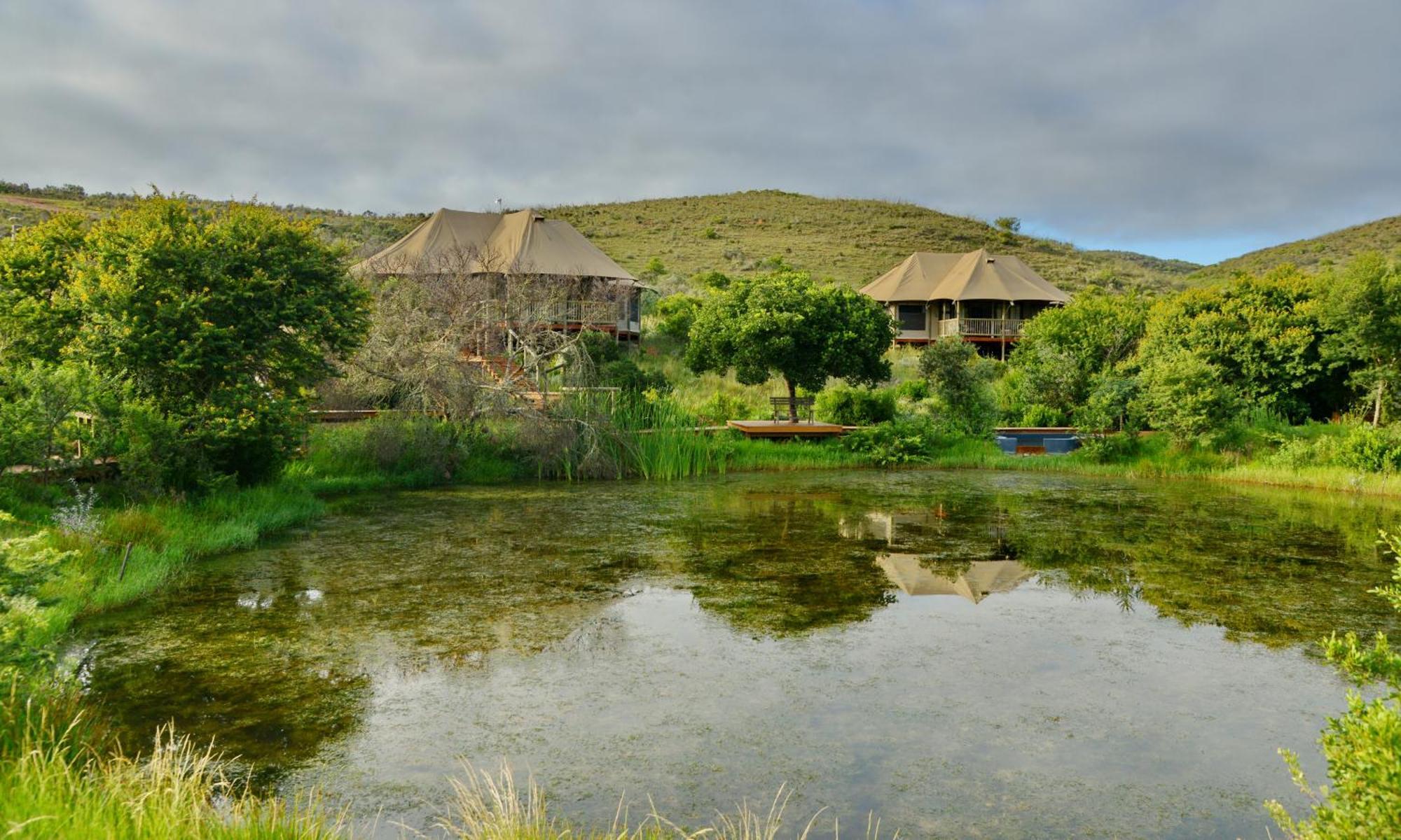 Garden Route Safari Camp Hotel Mossel Bay Exterior photo