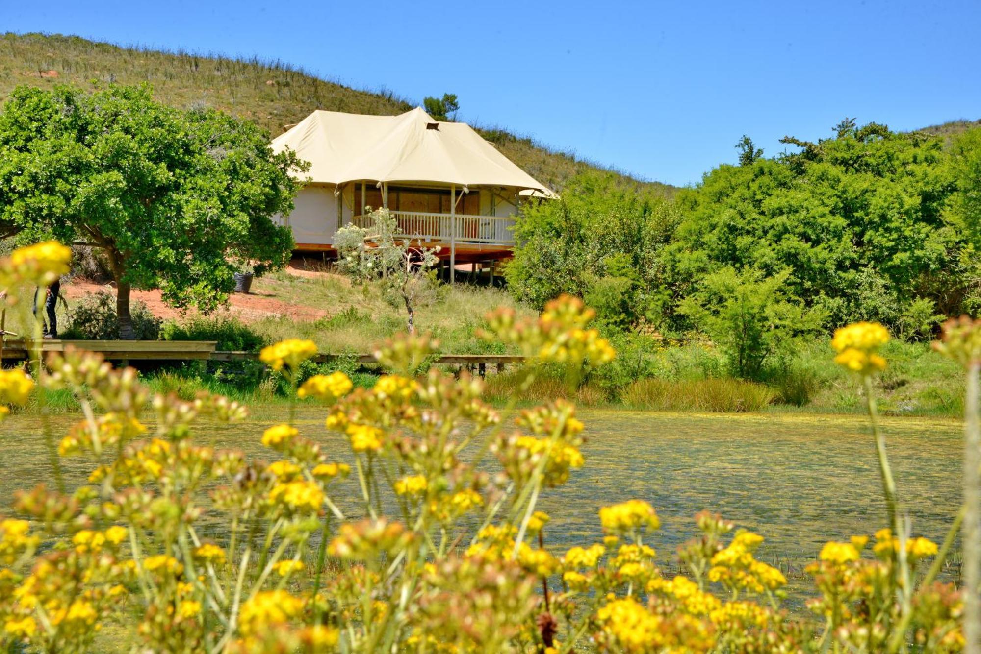 Garden Route Safari Camp Hotel Mossel Bay Exterior photo