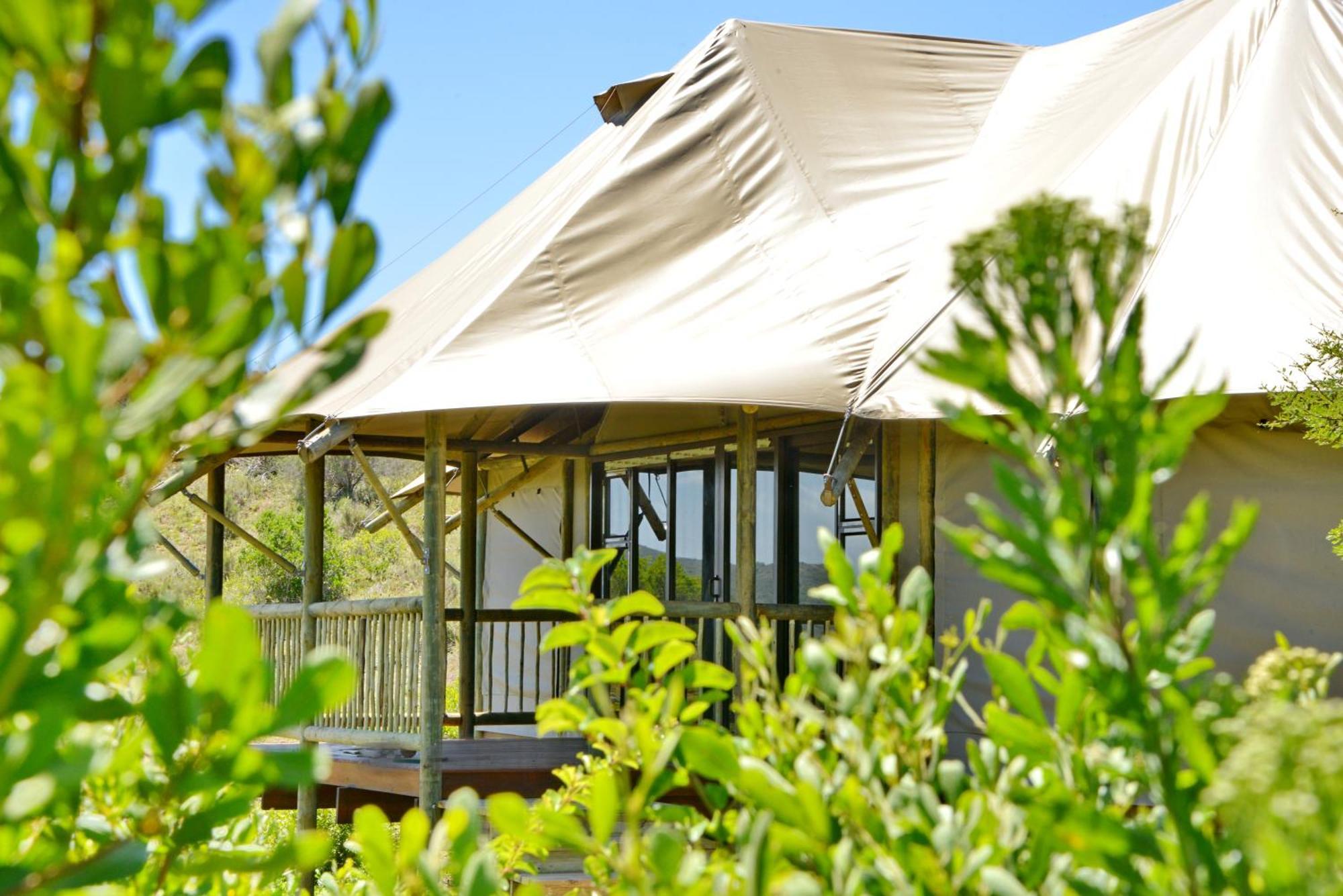 Garden Route Safari Camp Hotel Mossel Bay Room photo