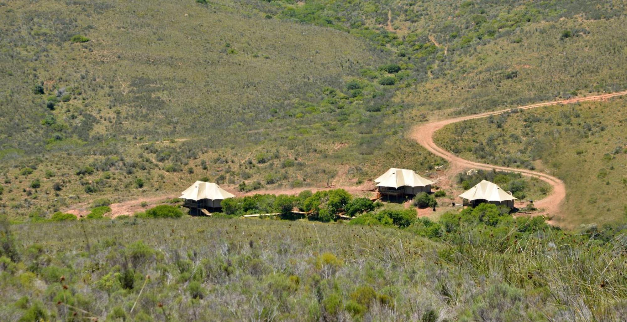 Garden Route Safari Camp Hotel Mossel Bay Room photo